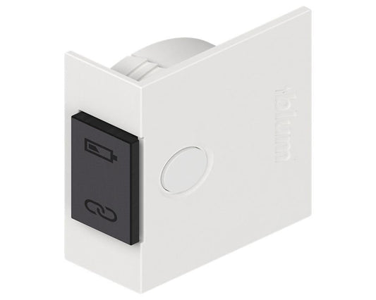 Blum SERVO-DRIVE Switch Silk White Matt 23P5020 by W&B