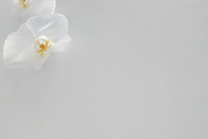Alpine White Quartz Stone (Deluxe Range)