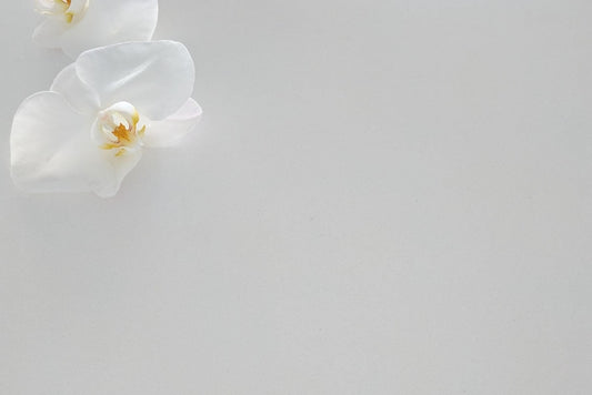 Alpine White Quartz Stone (Deluxe Range)