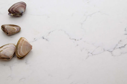 Michelangelo Quartz Stone (Ultra Natural Range)