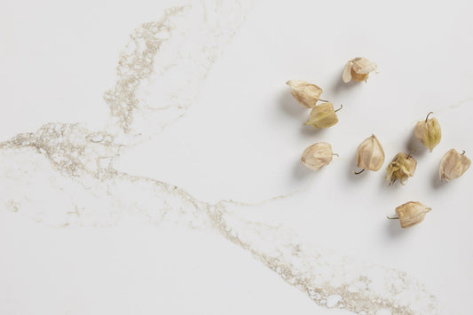 Verona Gold Quartz Stone (Ultra Natural Range)